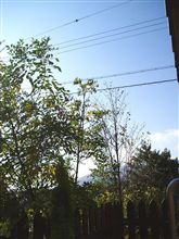 いいお天気だぁ！