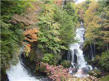 日光で紅葉狩り