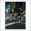 昨夜見た！
