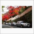 紅葉ヘッダー更新しました！