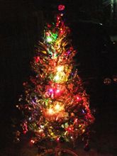 クリスマスツリーを出しました！