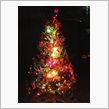クリスマスツリーを出しました！