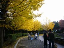 結局、近くの動物園。