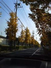 木枯らし
