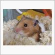 伸びすぎ・・・・（爆