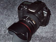 EOS20D買った＼(^O^)／