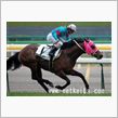 シルクドラグーン優勝！！！