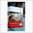 ねこ鍋買った
