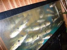 ☆忘年会★