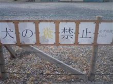 素朴な疑問