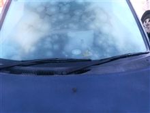 本日の朝のお天気