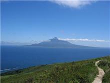 花の浮島より