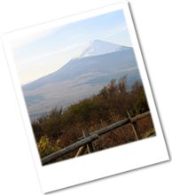 心残りといえば…。