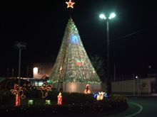 クリスマスツリー