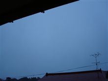 １２月９日　雨の朝、おはでつ～♪