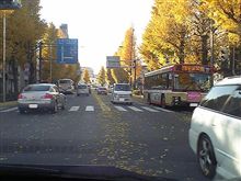 枯葉散る・・・