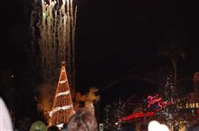 クリスマスツリー