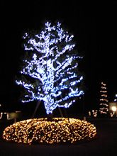 おはっす♪２００７１２１０