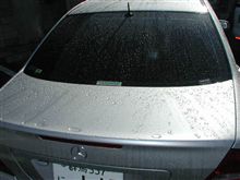 洗車日和　→　雨　→　翌日流水洗車　！！！。