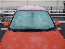 今朝も、凍えていました。
