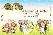 年賀状。