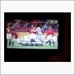 歴史的な試合はミニゴリラで＾＾