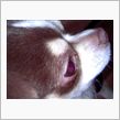 おはっす♪２００７１２１１