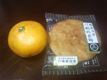 小島よしお、って風邪ひかないのかな？