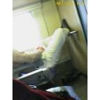 自由過ぎ(;;;ﾟДﾟ;;;)
