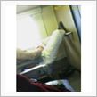 自由過ぎ(;;;ﾟДﾟ;;;)