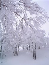 雪山からおっは～♪