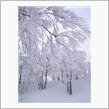 雪山からおっは～♪