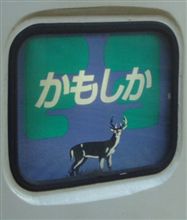 カモシカに見えず カモシカに見えず