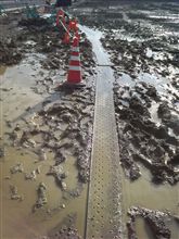 湿原の一本橋