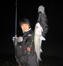 肴を調達しに