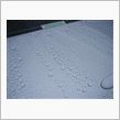 雨の日　弾いてます！！！。
