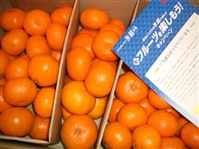キリン「氷結」旬のフルーツを楽しもう！キャンペーン、キタヮーー！！！ヽ(≧◇≦)ノ