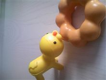 今日のお昼は…