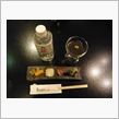 昨日の忘年会の料理