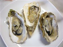 もらい物