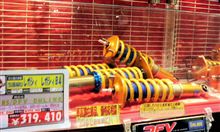 ♪こ、こんなモノがコロがってますが・・・