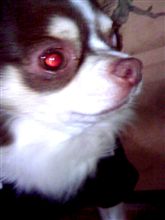 おはっす♪２００７１２１４