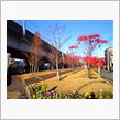 ラスト1本