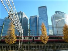 今年の漢字･･「偽」