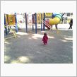 昼下がりの公園