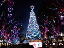 静岡の青葉シンボルロードは