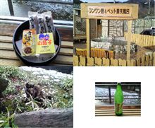 どぶろく？＋ 温泉