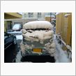 【雪だるま隊】いや、降ったね。