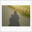 今日のお散歩