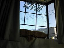 今日も大掃除しました。